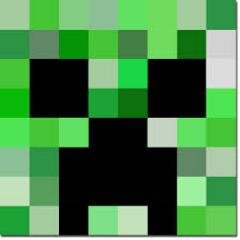 minecraft is the best