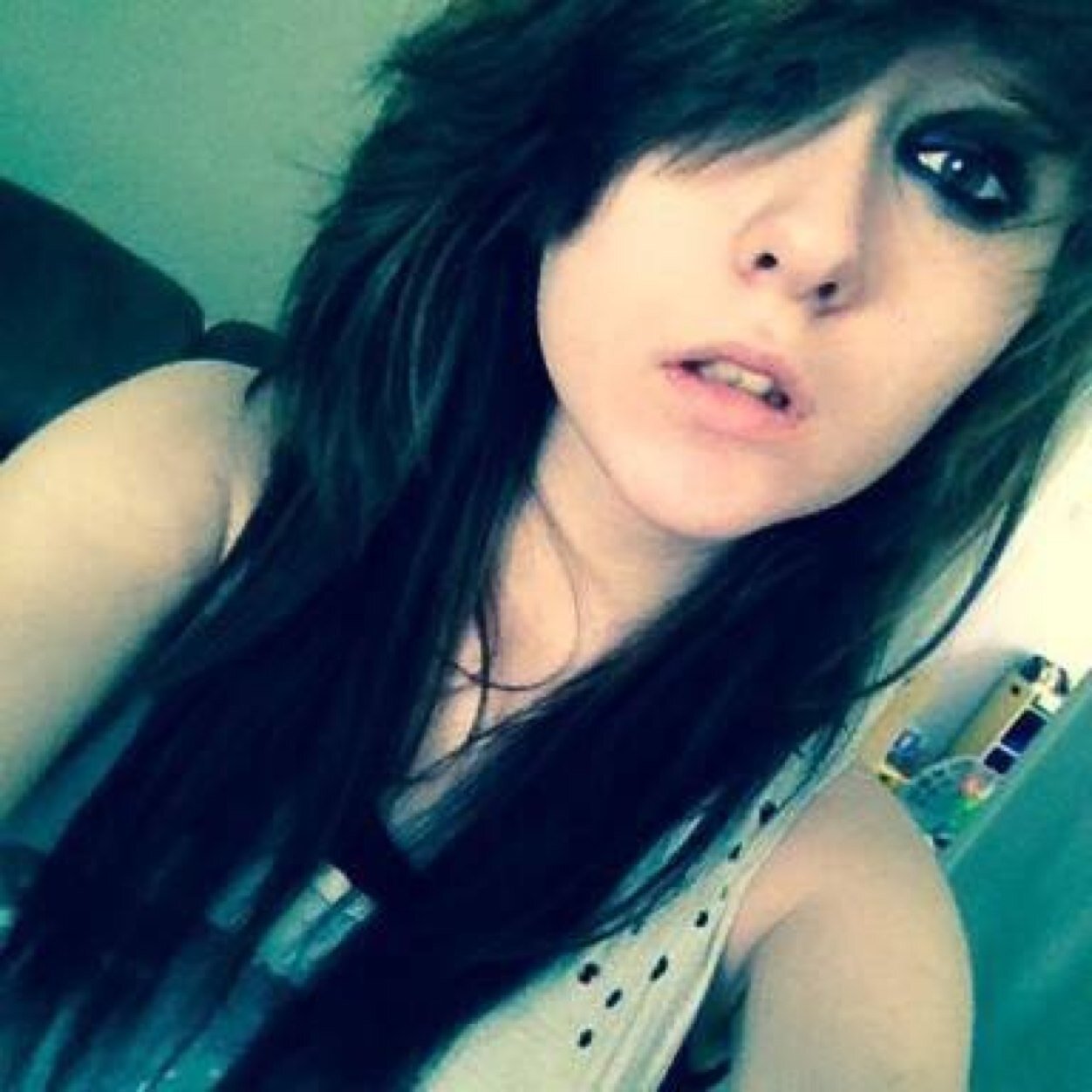 Bands. Tumblr. Cats. 
NeverShoutNever is v lovely 
As well as trees and sunflowers.