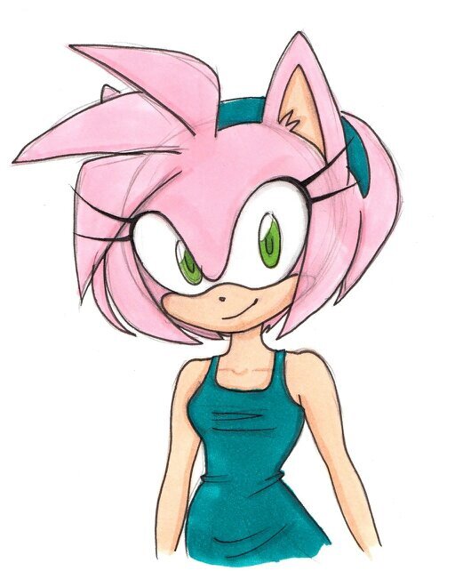 Hi, I'm Amy Rose, the Hedgehog. I've gotten over my obsession with Sonic... but I'm still cheerful & pink. I have a crush. :3 #taken by @shasnicdahedge