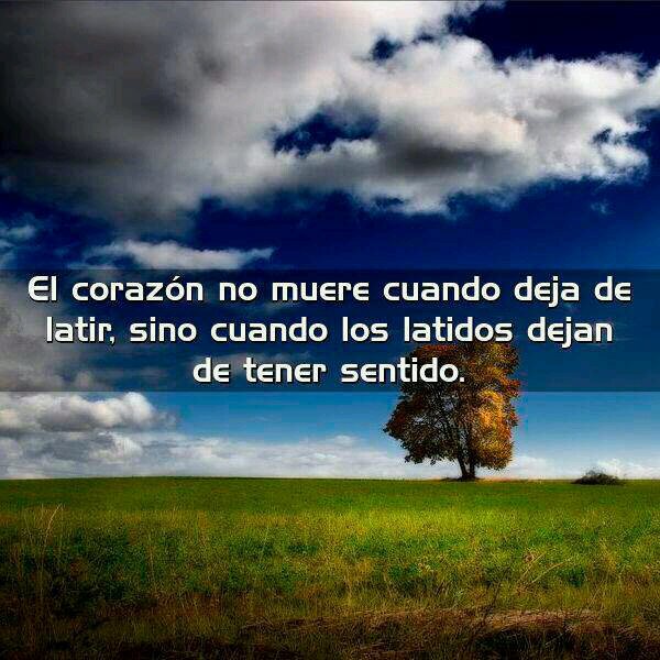 Krimar73's profile picture. 