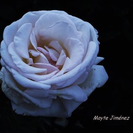 Fotografía amateur,me encanta tener algo de tiempo libre y aprovecharlo para hacer fotos.
http://t.co/jBSA5XD66G