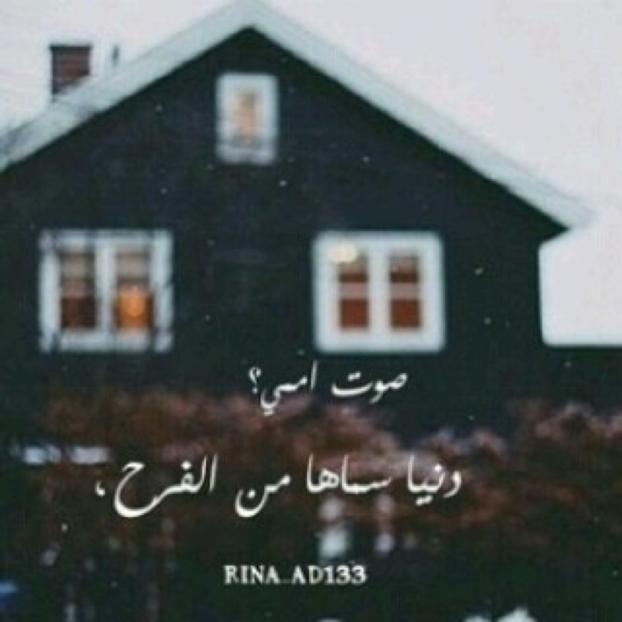 احُبّ قَلباً يَضعنَيّ دَائمَاً اوّل اهْتمَاماته ♡