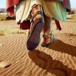 esteveafrica's profile picture. 