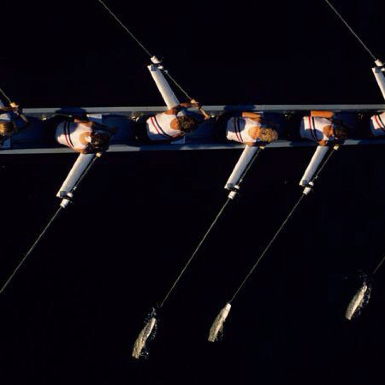 alan_leeson's profile picture. 