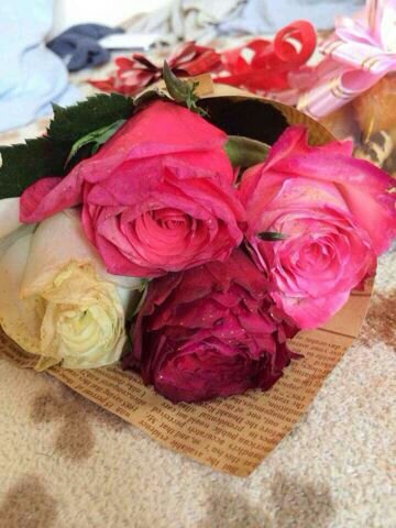 avip110's profile picture. 