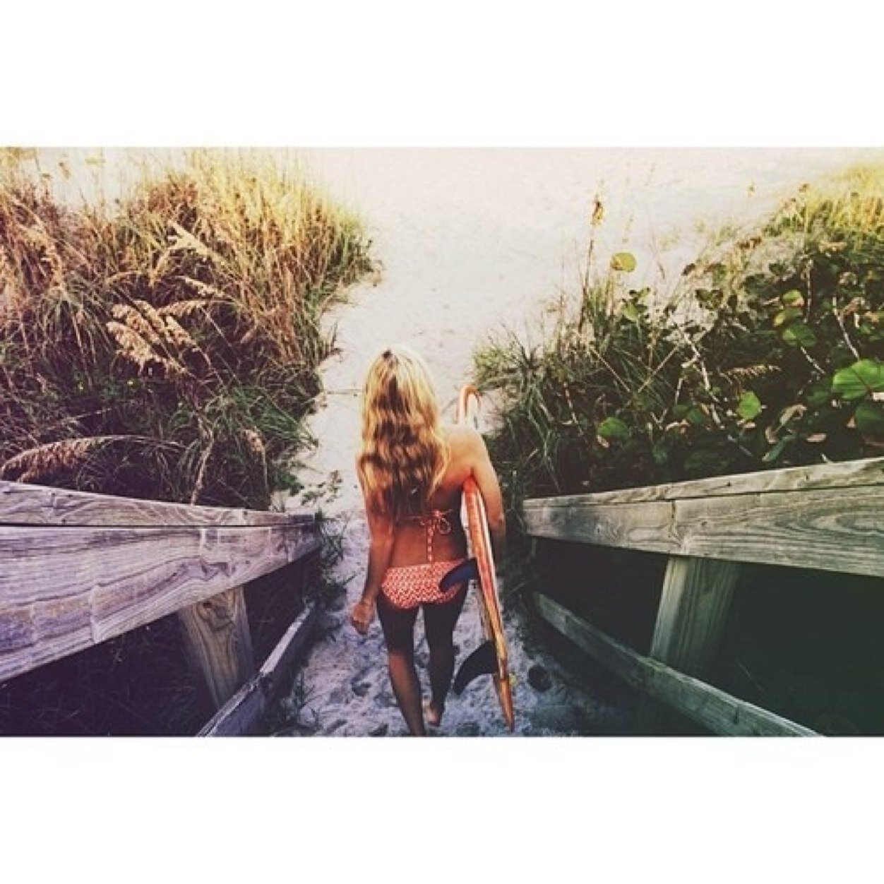 Ugwdkgd's profile picture. wat ¿?