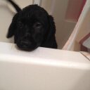 Nancy Mistretta - @nmistretta - Twitter