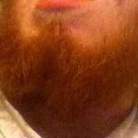Mishy's Beard (@mishybeard) 's Twitter Profile