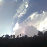 SamiUllah (@samiull41989469) 's Twitter Profile
