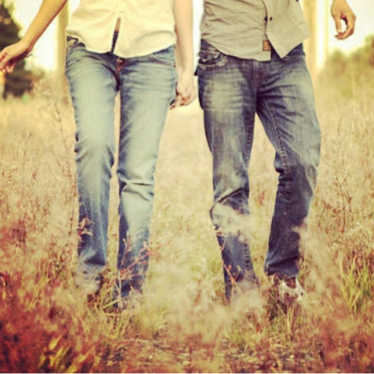 ArkansasBelle1's profile picture. #farmersdaughter