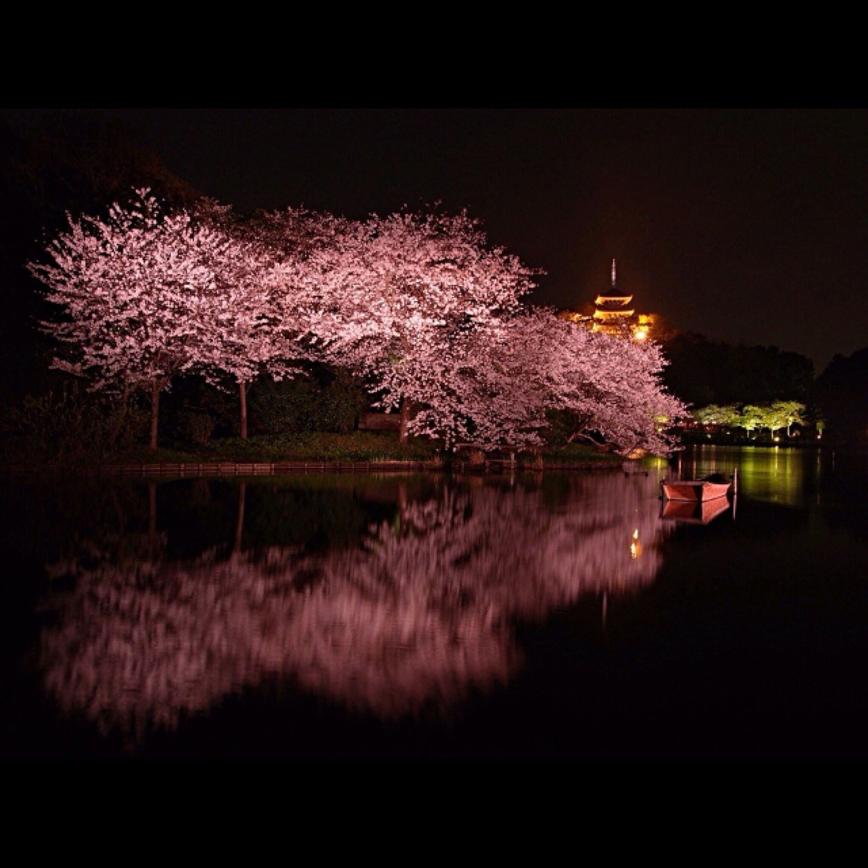 scs_sec's profile picture. ĐÔĆţôŕ śăЯα .....……………………………………….………حتَى أولئِكَ العَآئِدون مِن عُمقِ الذَآكرة... لَم تَعد السَمآء تُمطِر لهُمْ !!