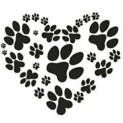 Blog4Paws is a blog that gives knowledge on animals and pet ownership. Helping animals have a healthy and happy home.