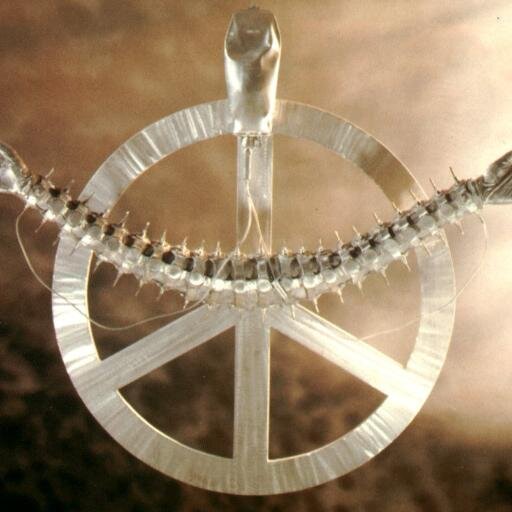 ingenieroknudse's profile picture. 