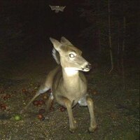 Slang King (@slangkingbk) 's Twitter Profile