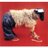 corb73's profile image