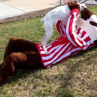 Dean Groth (@deanrgroth) Twitter profile photo