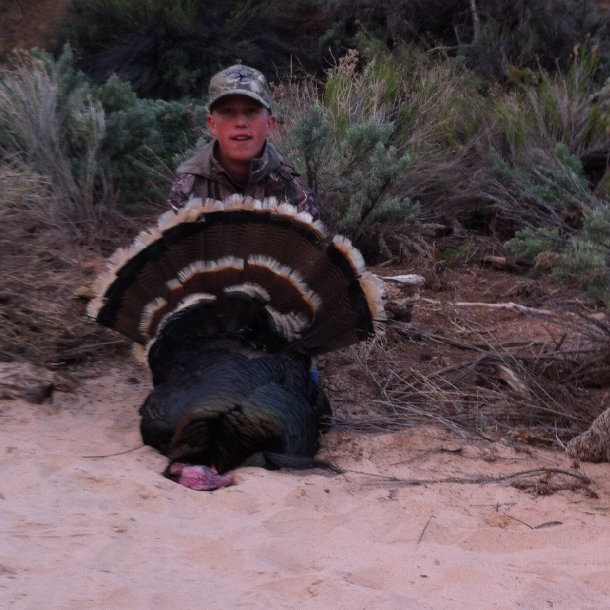 modispeterson's profile picture. 