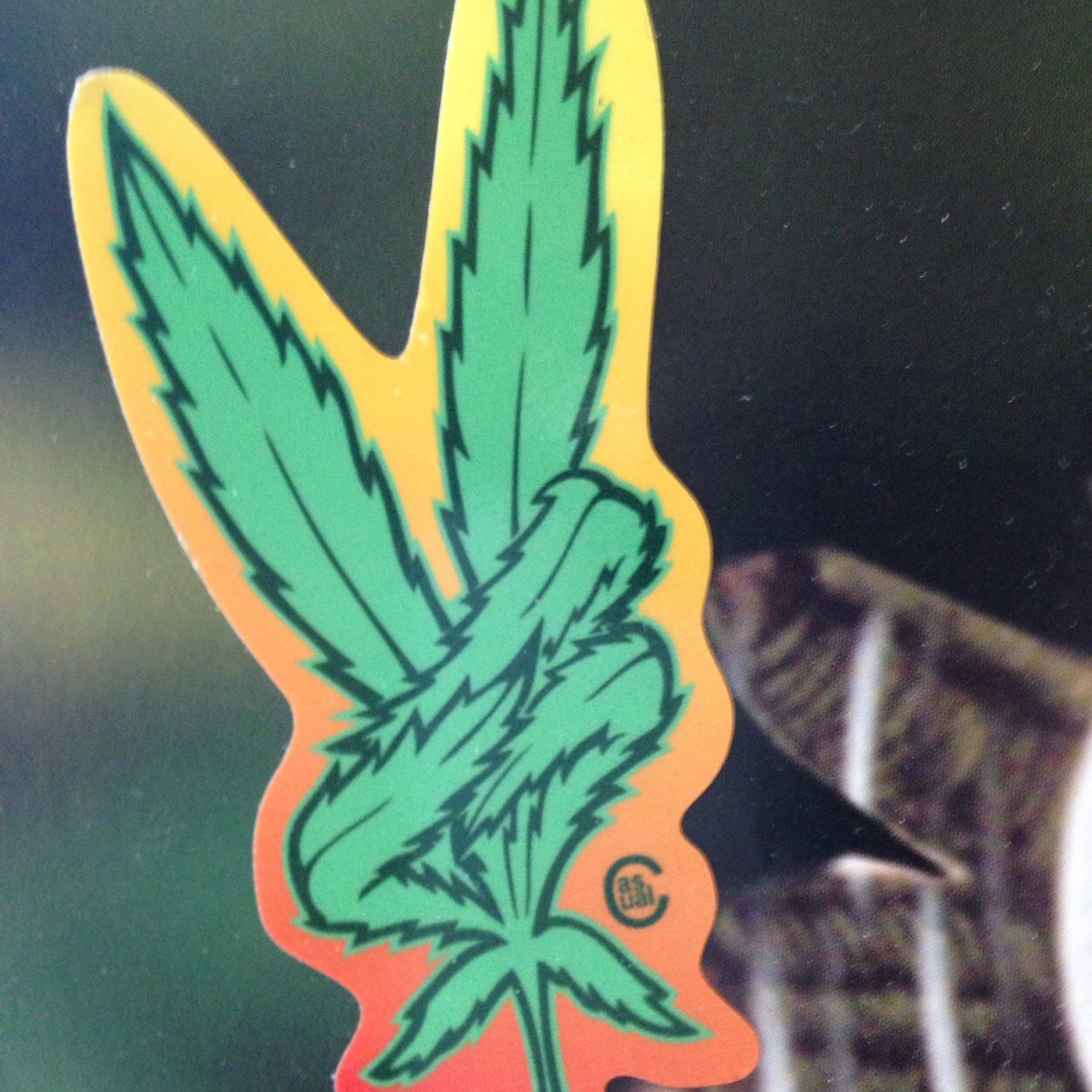 #FireDopeWeSmoke | #TheKushFamily | #DrugFamily | #HeadOfState |#PLUR