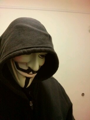 Masked Crusader