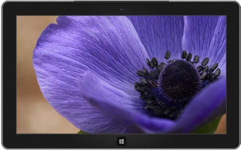 DoryceaSteiner's profile picture. Spiritual Director, Mother, Grandmother, Sister, Niece, Caretaker, Master Gardener, Jazz Lover, Scriptures, Crosswords, Worker, Bookworm, Walker