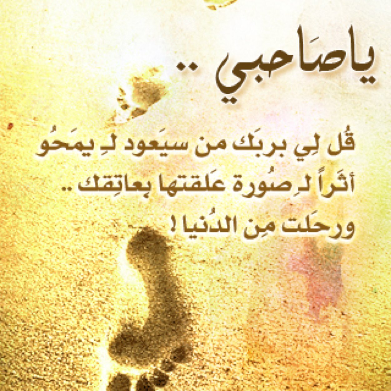 Ghalia_Alobaid's profile picture. ..اكره الظلم وتعقيد الامور ..والتسلط ..وتعجبني البساطه والعفويه ..