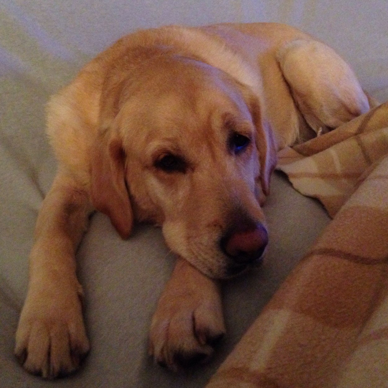 MaughamMaugham2's profile picture. 