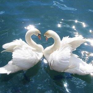 eddisbabi's profile picture. 