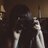 lauraelizfoto's profile image