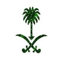 سعودي ريتويت (@sa3udi_retweet) Twitter profile photo