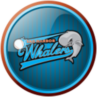 Sag Harbor Whalers (@saghbrwhalers) 's Twitter Profile Photo Sag Harbor Whalers (@saghbrwhalers) 's Twitter Profile Photo