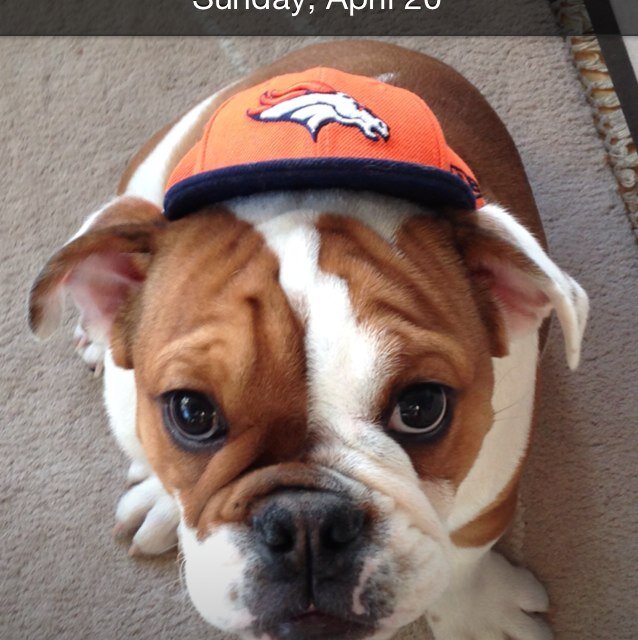 DoctorKoenig's profile picture. 