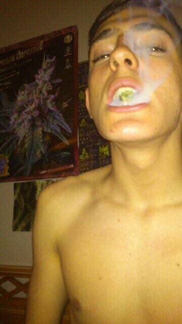 estudiante, 16 años, soltero busco rollos, fumo porros, me gusta el reggae y los verdes