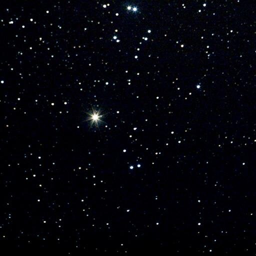 dotnumberone's profile picture. 