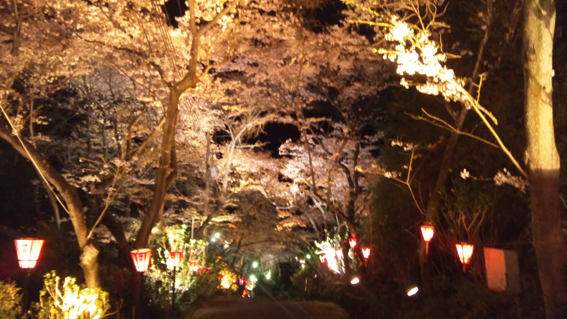 3文字以内で且つ、単純で解りやすく丁寧に教えてやってください。 はじめました!!がよくわかりません。 大阪府のデベロッパーとなると不動産会社へ転職。