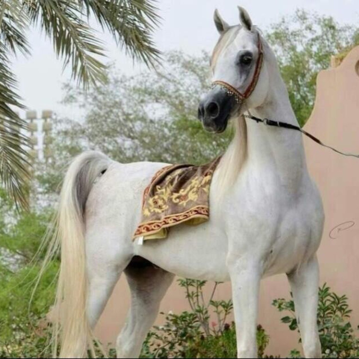 جنوبيه وذوووق وشاعره واسلوبي راقي يعجز الشعر مع راعيه عن توصيف هيبتي الخااااص مهمل