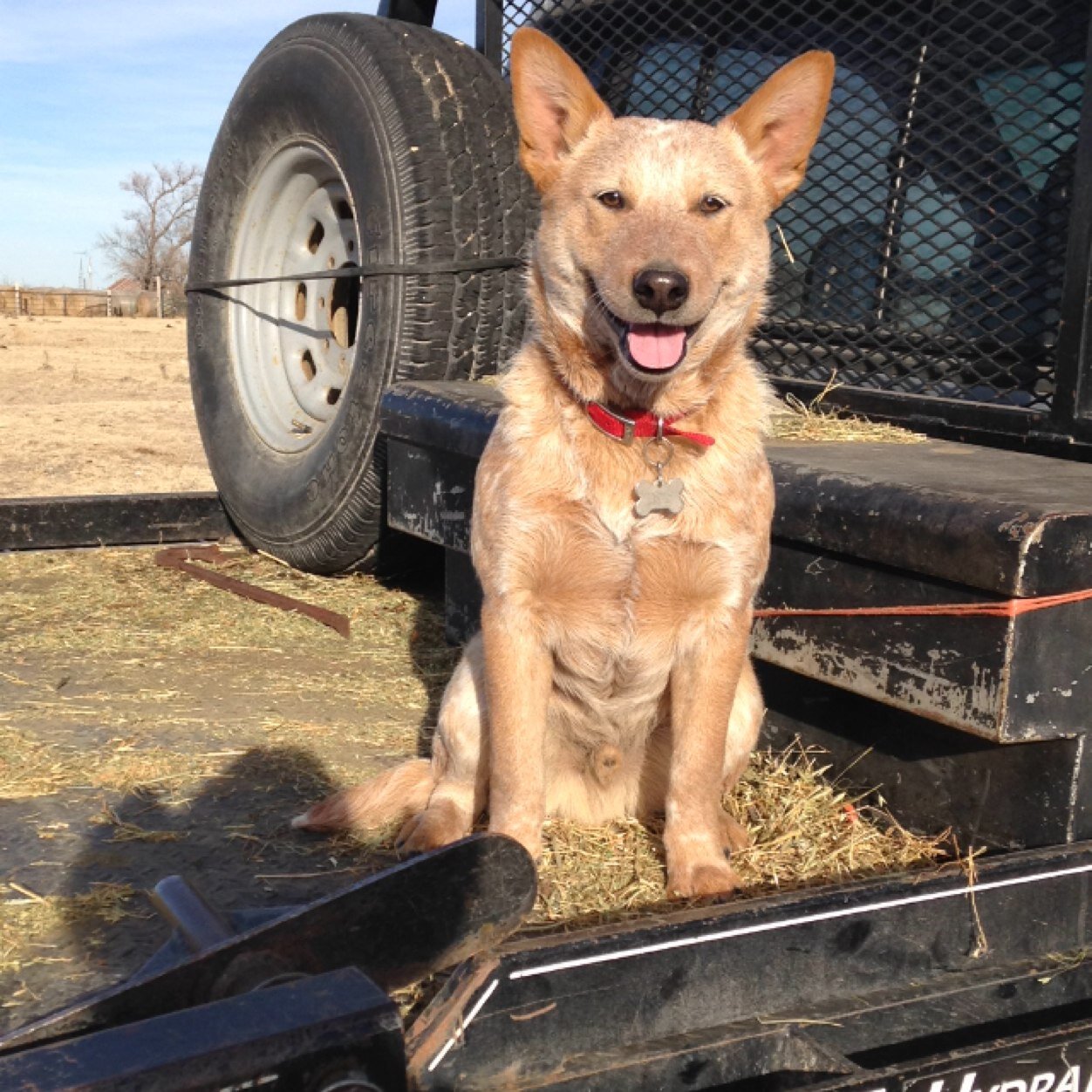 rileynoll69's profile picture. 