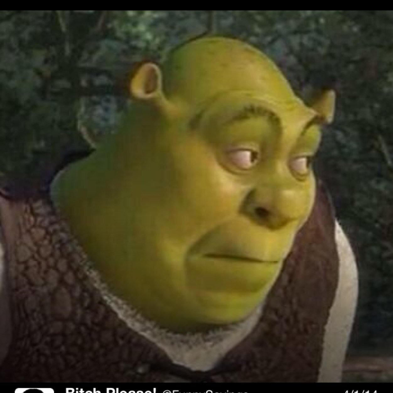 sweatygoals16's profile picture. Shrek is love ,shrek is life