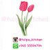 tulipa_kitchen (@tulipa_kitchen) Twitter profile photo tulipa_kitchen (@tulipa_kitchen) Twitter profile photo