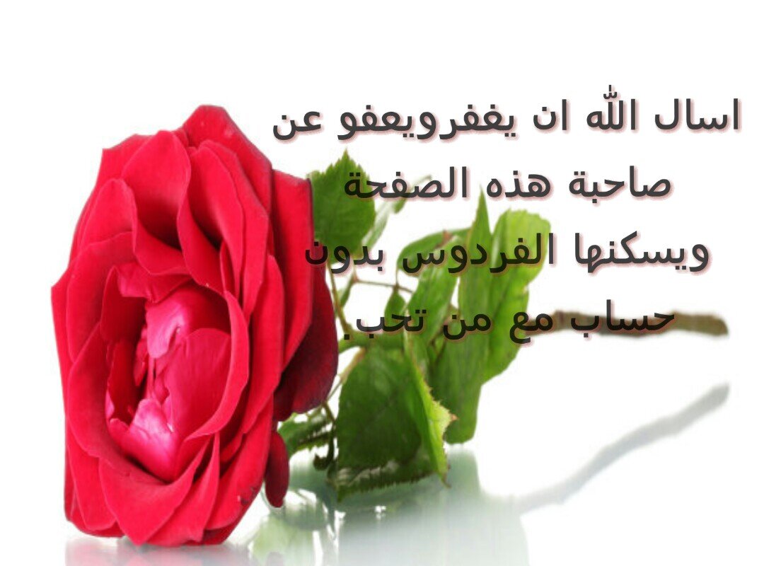 اقدارنا مكتوبة فلنعش بهدوء