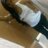 dianamontero22's profile image