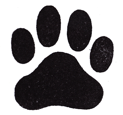 Your pet connection for Alachua County Florida