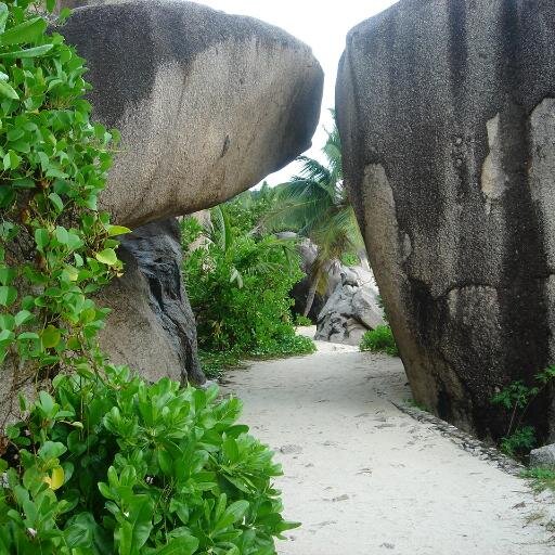 masquino_ste's profile picture. 