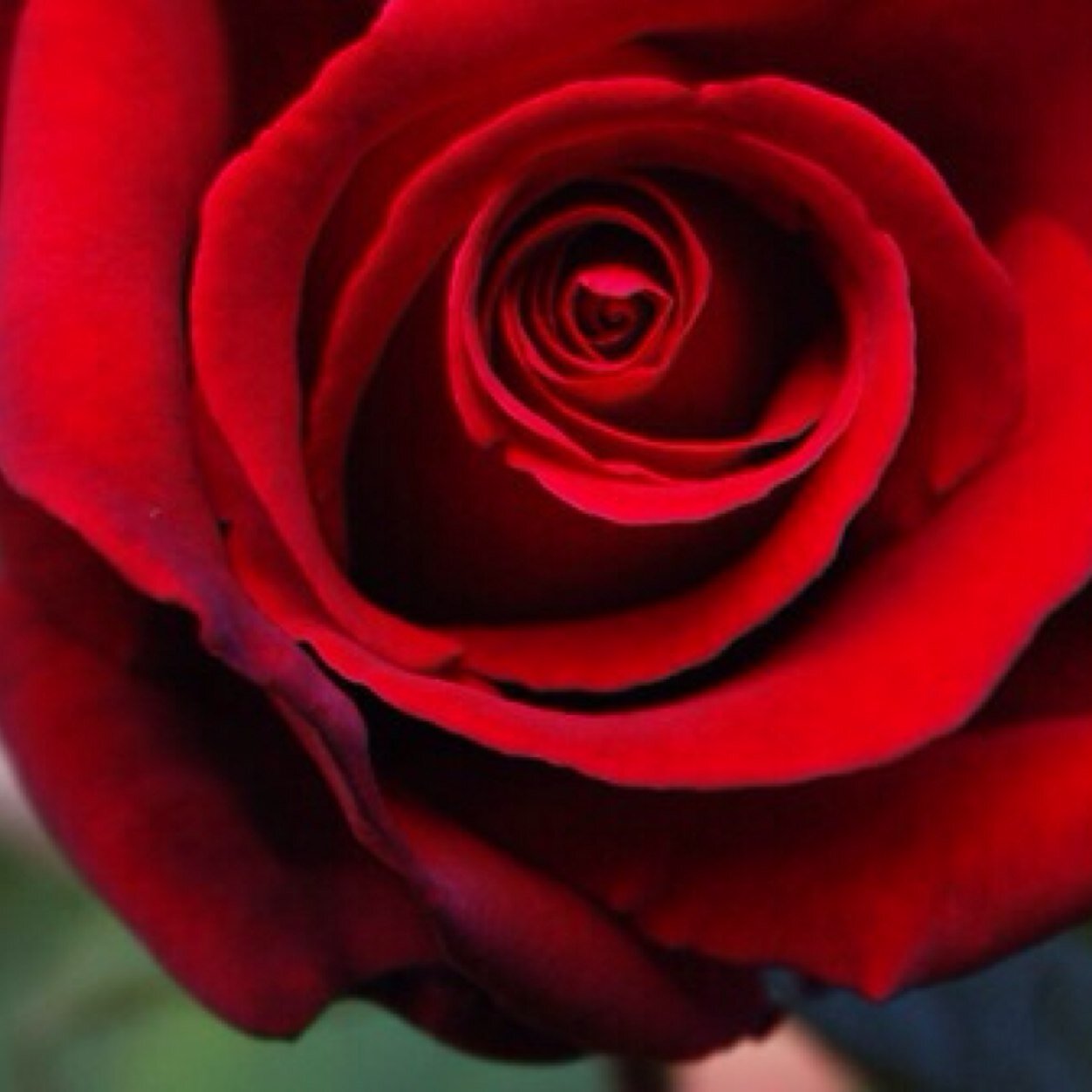 zamil03974535's profile picture. 