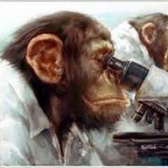 Secret Of Monkey ISL