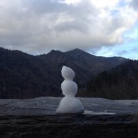 BraD The VolFan (@volfan1983xxx) 's Twitter Profile