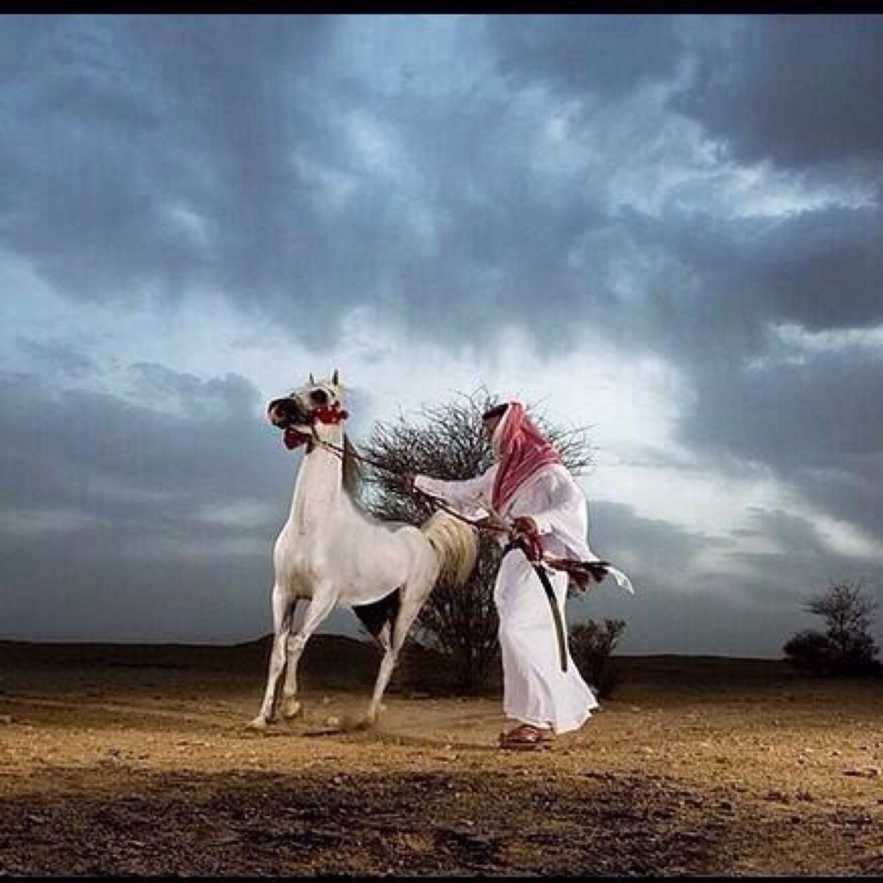 النجم ساطع لو غشى السما غيم~~~ تبقى وتبقى دوم ي نجم سااطع