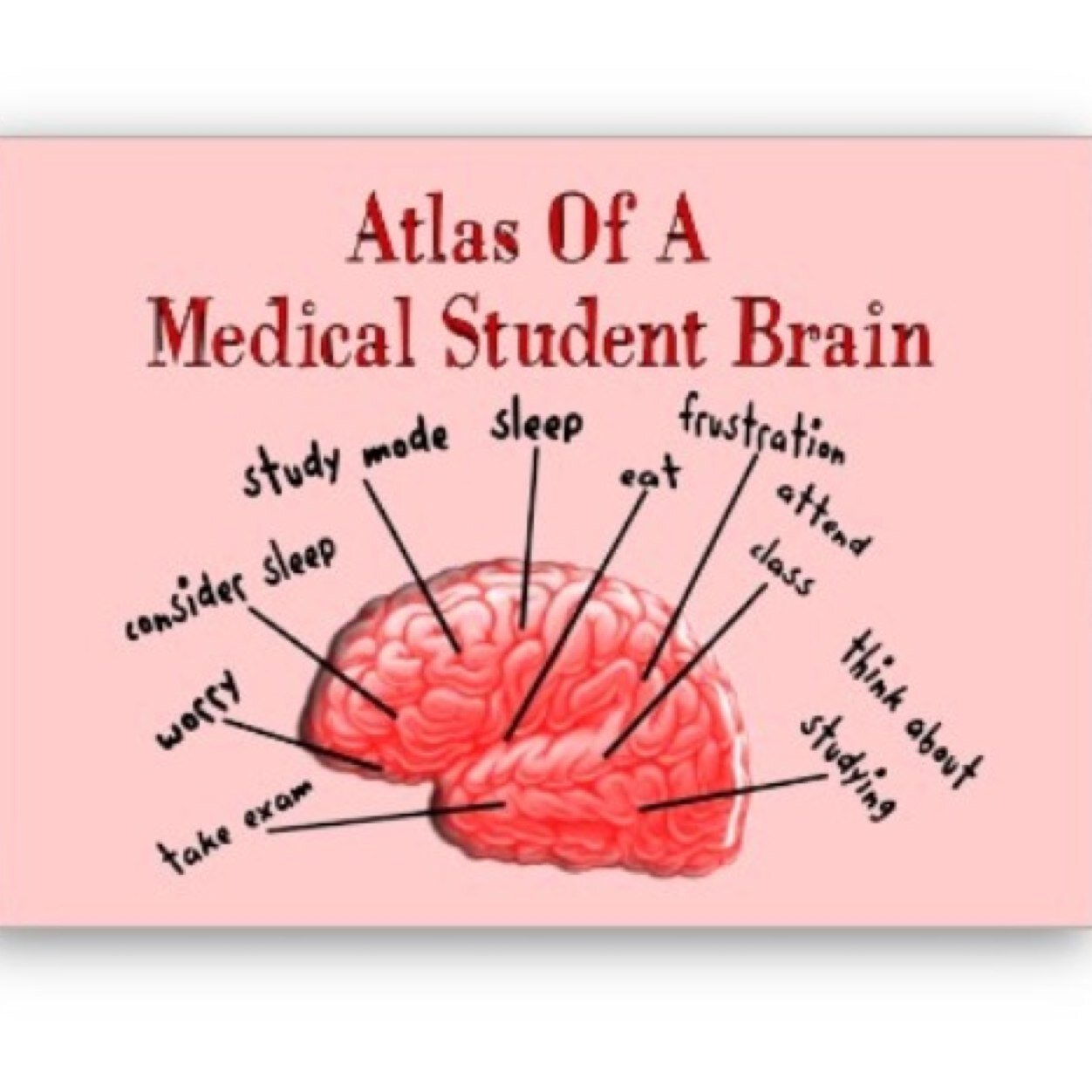 The Chronicles of 4 medics on a journey through Med School