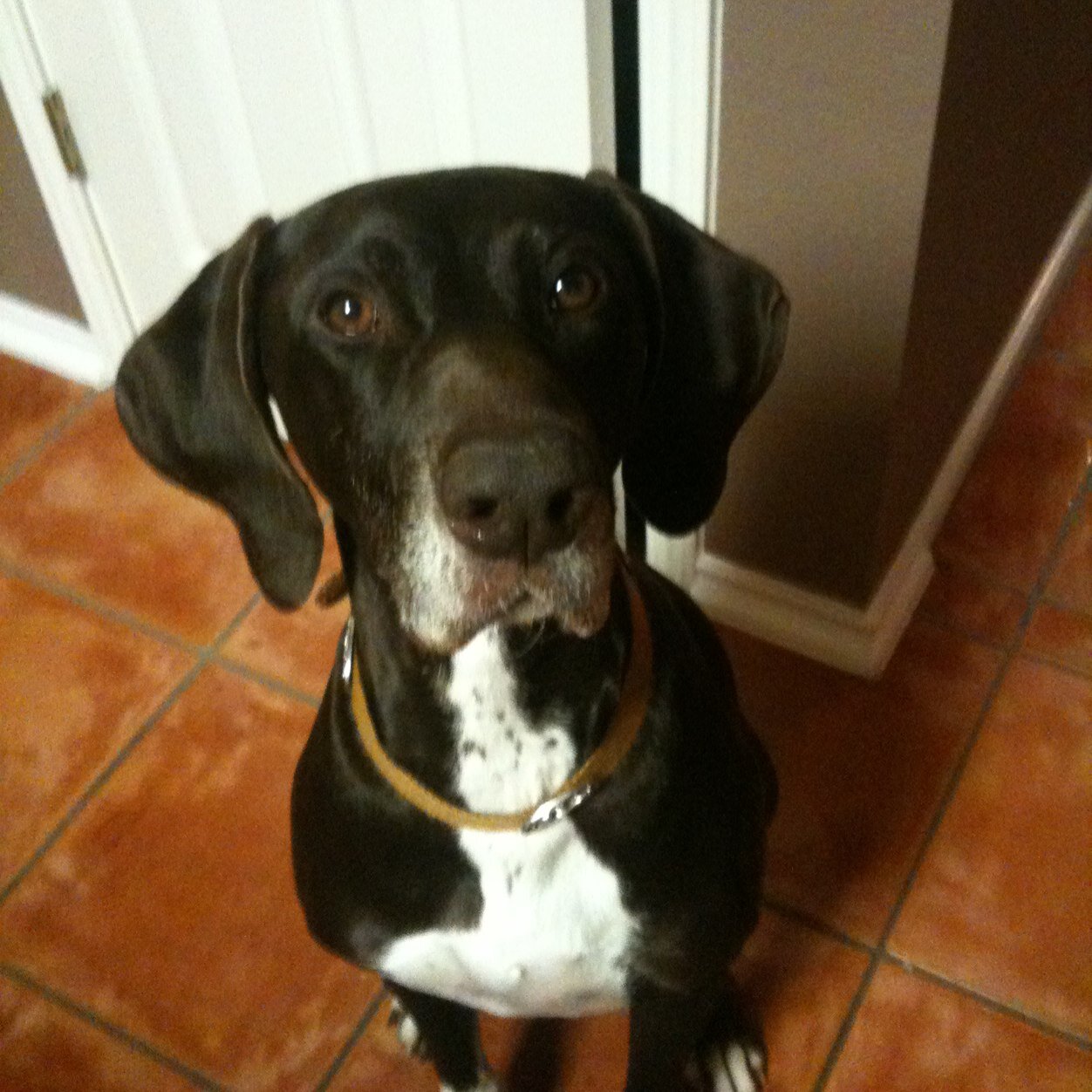 imiranda32's profile picture. 