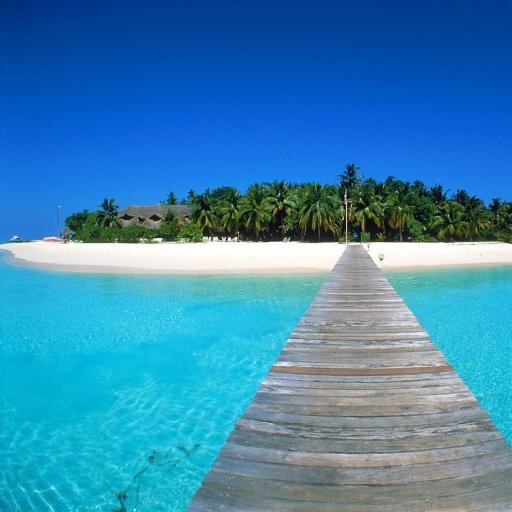 IWishIWasThere_'s profile picture. Places you wish you were. *do not own these pictures* current goal is 5k help me get there by retweeting the pictures you like