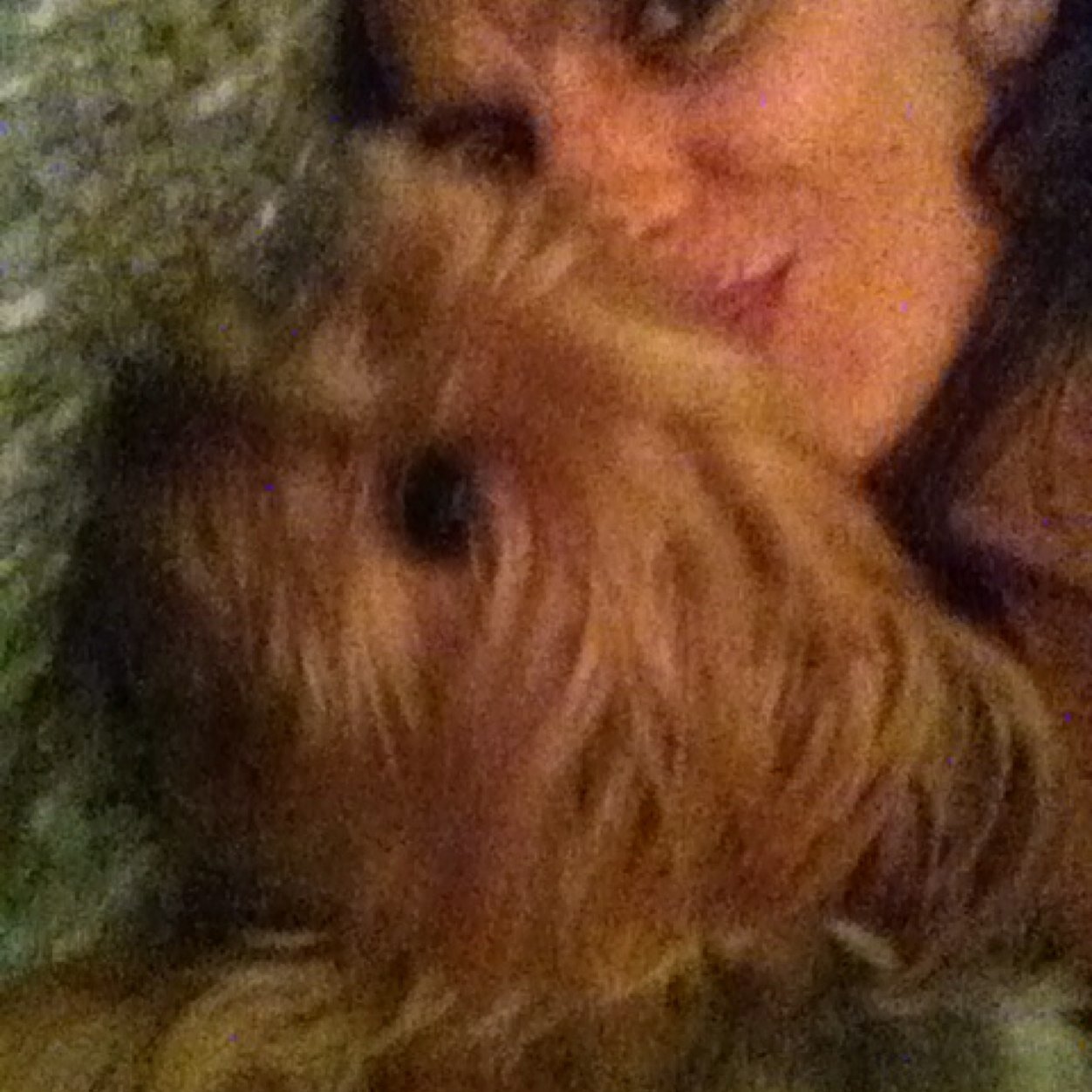 ninafortes's profile picture. Geriatrie et Soins Palliatifs / Geriatrics and Palliative Care